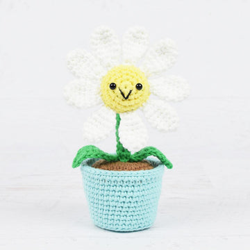 Potted Daisy