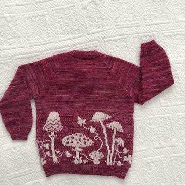 Toadstool Time Sweater