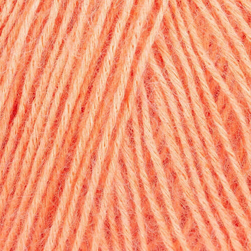 79