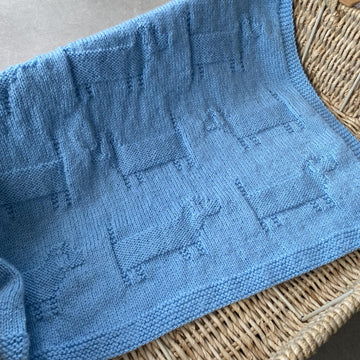 Sausage Dog Blanket
