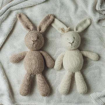 Briar Bunny