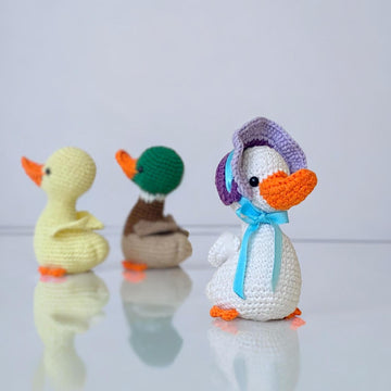 Bonnet Duck and mallard duck