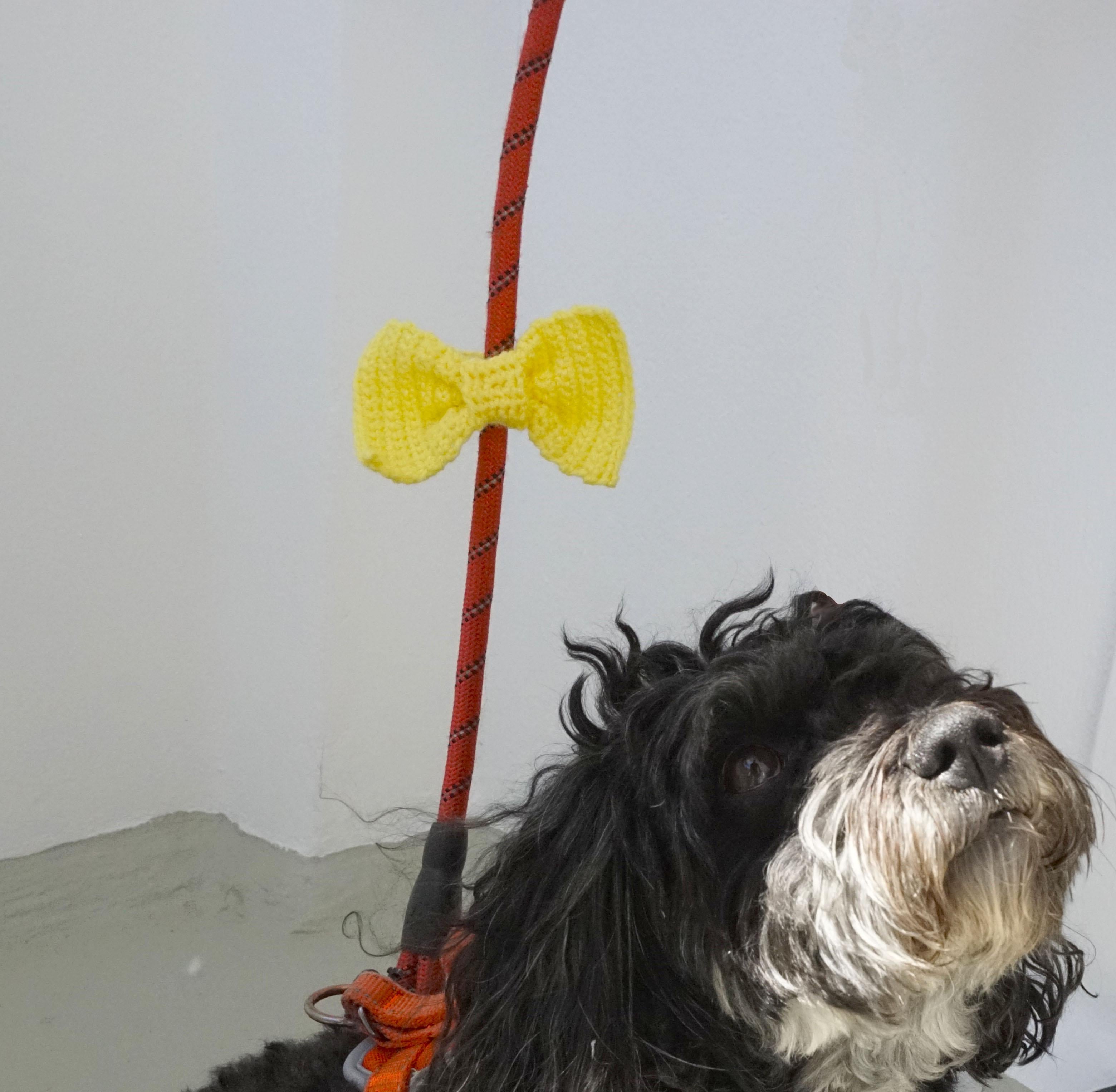 Crochet Pattern For The Yellow Ribbon For Dog´s