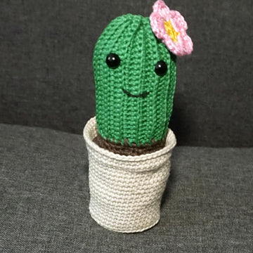 Häkelanleitung für den Kaktus mit Blüte
