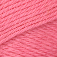 Carnation (124)