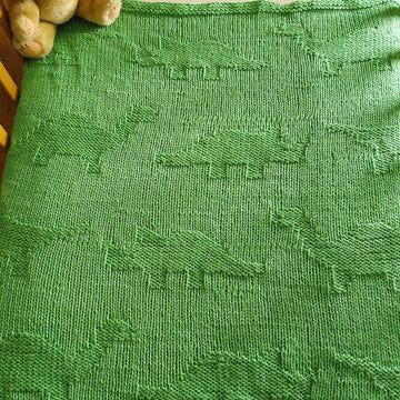 Easy Dinosaur Baby Blanket