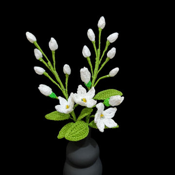 Jasmine flowers