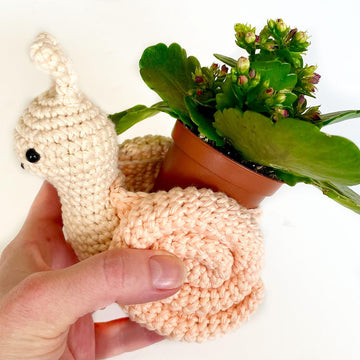 Snail Plant Holder