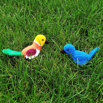 Bird amigurumi