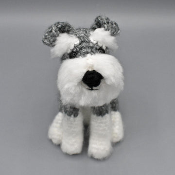 Schnoodge the Schnauzer dog