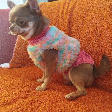 Pull Yeti pour petits chiens