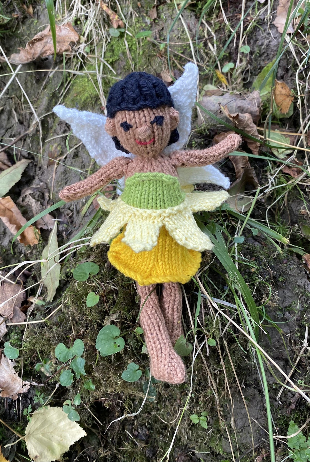 Daffodil Flower Fairy