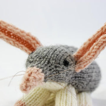 Australian Bilby