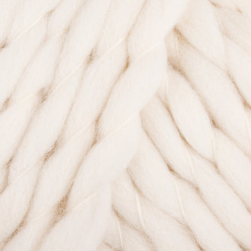 Polar Bear (02)