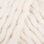 Polar Bear (02)
