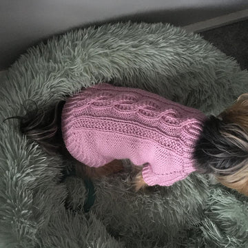 Pink Dog Sweater