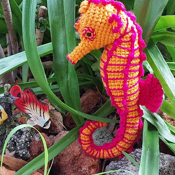 Seahorse
