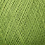 Light Green (09)