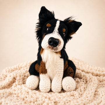 Australian Shepherd Moon