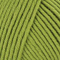 Light Olive (766)