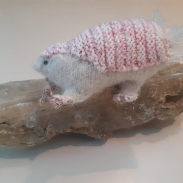 Fairy armadillo