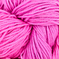 Dragon Fruit (21753)