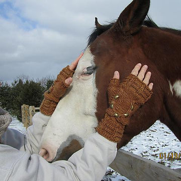 Horse Lover's Mitts