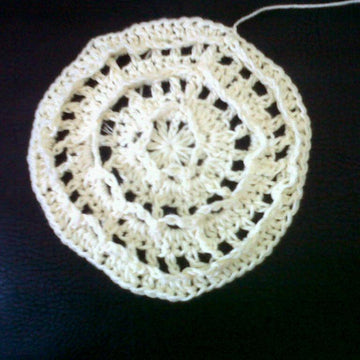 Paddle Wheel Dishcloth