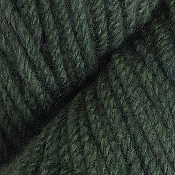 Critical Moss (108)