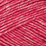 Raspberry (033)