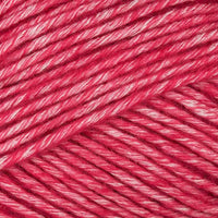 Raspberry (033)