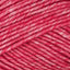 Raspberry (033)