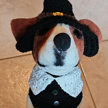Pilgrim Pet Bandana and Hat