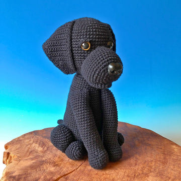 Labrador sitzend