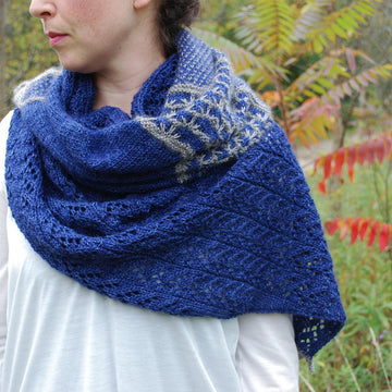 Runaway Star Shawl
