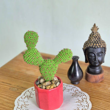 Prickly pear cactus