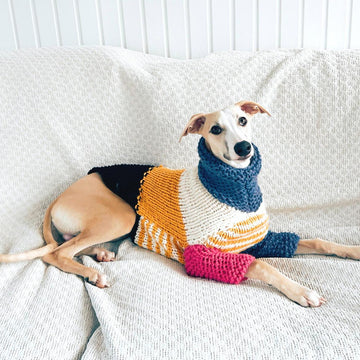 Doggo no 5 sweater