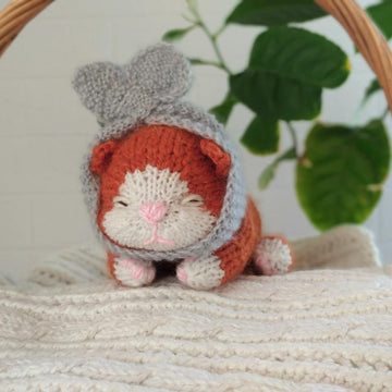 Sleepy Kitten Knitting Pattern | Scottish Fold Cat Toy PDF