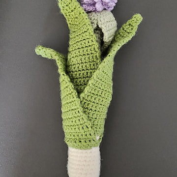 Leek with flower pod