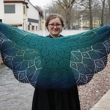 Sempervivum shawl