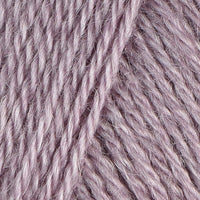 Tea Rose (16B)