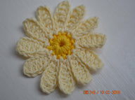 Crochet Daisies