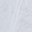 White (204)