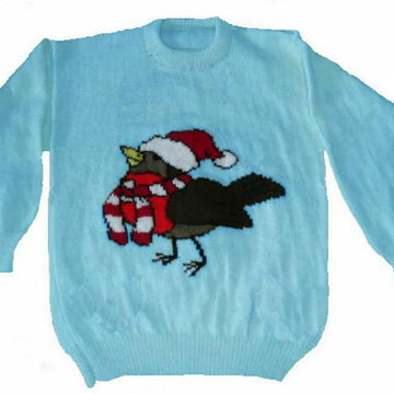Cute Christmas Robin Jumper