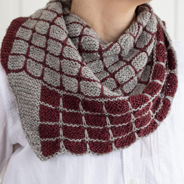 Growth Point Shawl