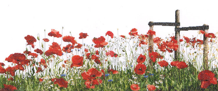 Thea Gouverneur Bv Poppies, 36 Count White Linen Cross Stitch Kit - 55cm x 22cm