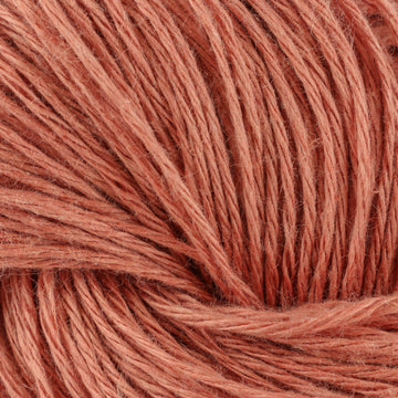 Dusted Apricot (30)