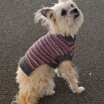 Snazzy Stripes Dog Sweater - XS,S, M
