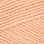Salmon (254)