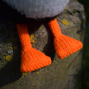Percy the Puffin